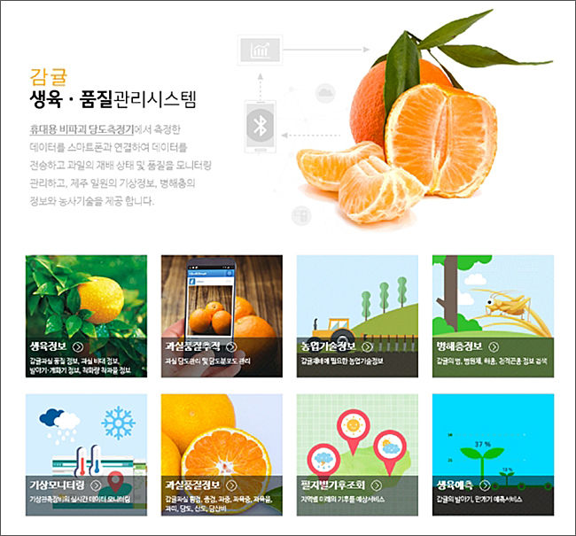 감귤-과수생육·품질관리시스템