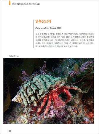《독도의 생물다양성》 내용