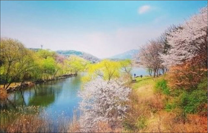 세상은 온통 수채화 화폭 같아라(사진:강석우)