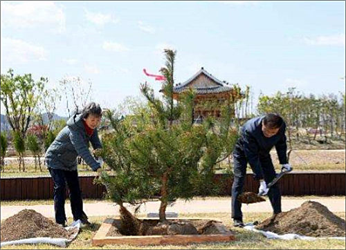 후계목 심는 모습 - 정재숙 문화재청장(왼쪽), 박종호 산림청장
