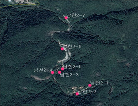 인공둥지 조사 대상지_소백산국립공원(북부) 남천야영장