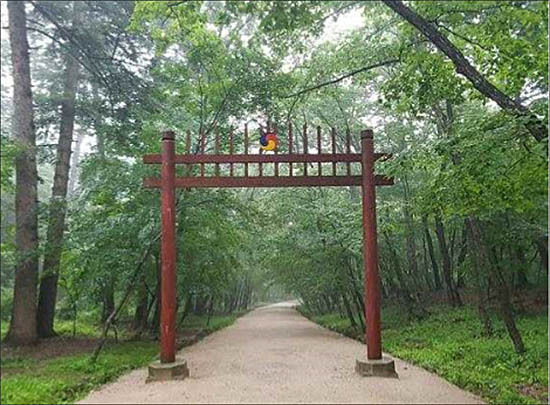 광릉(세조와 정희왕후) 숲길