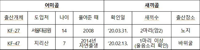 2020년 출산확인 개체