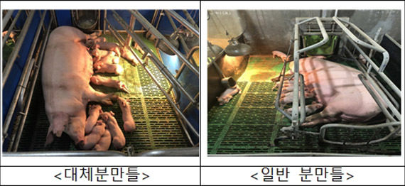 대체분만틀과 일반분만틀의 형태