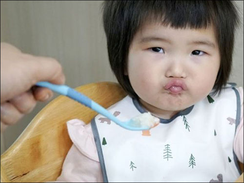 아이든 어른이든 치아가 결손 되었다면 이에 따라 먹는 것을 맞춰 줘야한다. 씹지 않거나 씹지 못한다면 절대로 무리해서 먹으려하지 말고 마시는 것을 위주로 충실한 영양공급을 받도록 해야한다.
