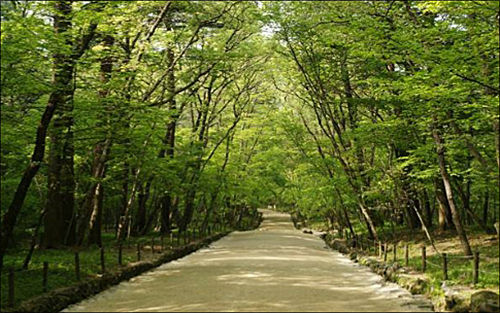 남양주 광릉 숲길