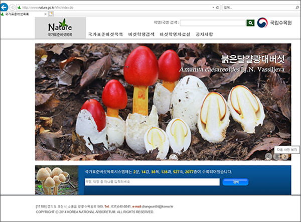 ‘국가표준버섯목록’ 첫화면