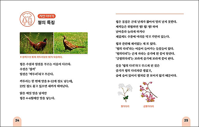 본문 이미지2(생태정보)