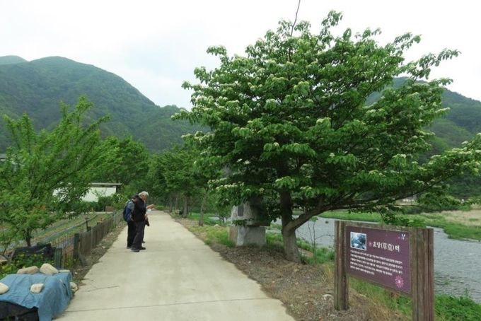 김삿갓 시비를 앞에선 일행