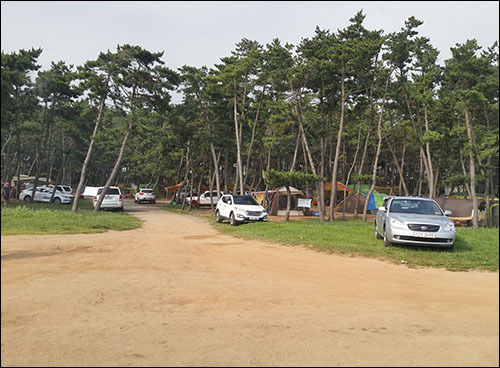 몽산포 야영장