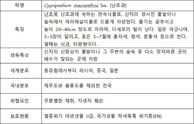 복주머니란의 특성