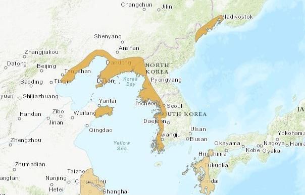 노랑부리백로 서식 정보