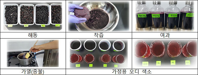 가정용 오디 색소 제조과정