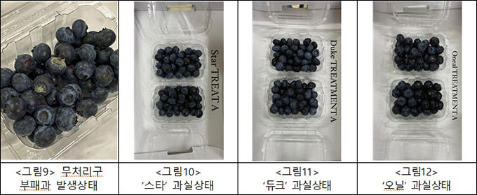 말레이시아 수출 결과