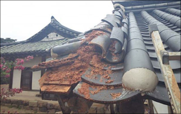 안동 병산서원 기와 떨어짐