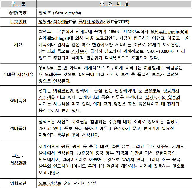 팔색조 설명