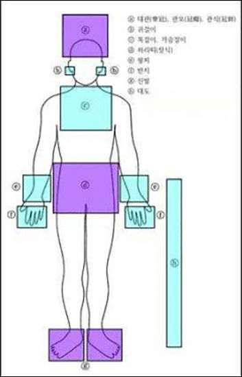 <피장자가 착장하는 장신구의 종류와 위치>
