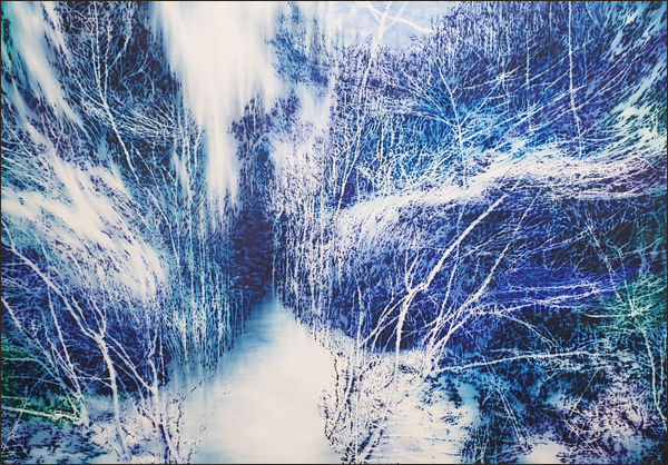 김건일, 바람이 가는 길, 2020, oil on canvas, 182x227cm