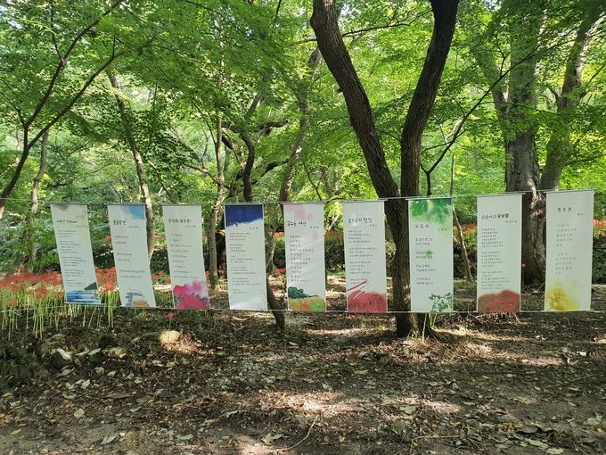꽃무릇핀 선운사 경내에는 지역 시인들의 시화전이 열리고 있다