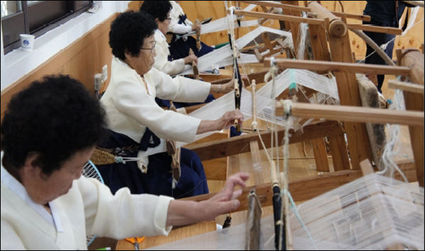 명주짜기 년 공개행사
