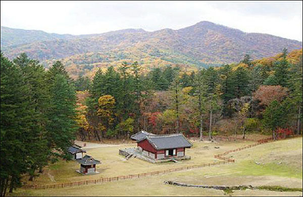 남양주 광릉 가을숲