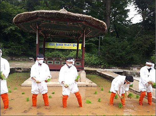 2020년 상반기 모내기 행사현장