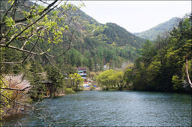 속리산 말티재 명품숲(저수지, 자연휴양림)