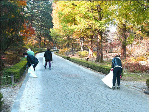 산지 정화활동 하는 모습