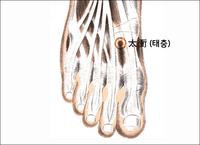 역시 태충혈을 압박해주는 것도 좋다.