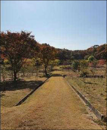 동구릉 양묘장