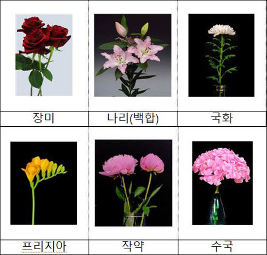 주요 자른 꽃