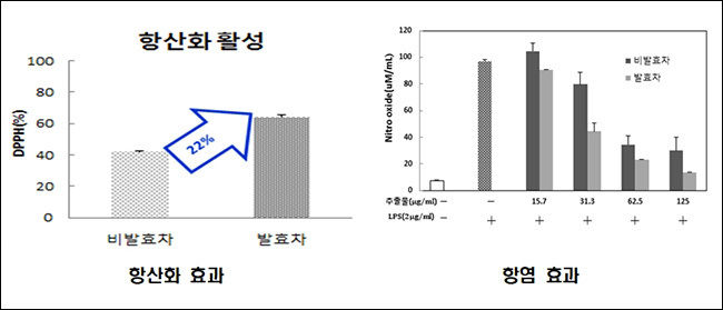 황기 잎 발효차의 항산화 성분과 효능