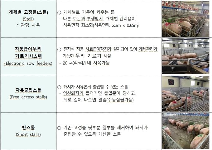 임신돼지 무리 기르기 시설