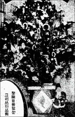 동아일보 1933년 12월 19일 자에 실린 “성탄절을 앞둔 크리스마스나무” 사진