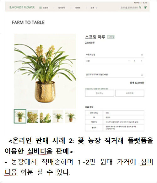 <온라인 판매 사례 2: 꽃 농장 직거래 플랫폼을 이용한 심비디움 판매> - 농장에서 직배송하며 1~2만 원대 가격에 심비디움 화분 살 수 있다.