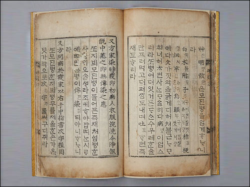 《간이벽온방(簡易辟溫方)》 언해, 국립한글박물관