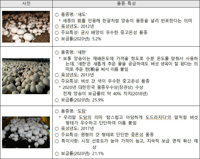 국산 양송이 대표 품종(양송이 ‘삼총사’)
