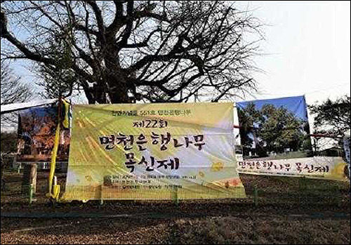 <당진 면천 은행나무 목신제(2020)>