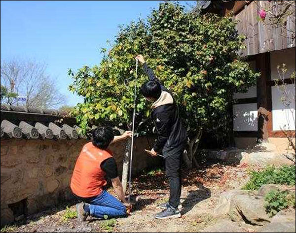 국립문화재연구소, 국립수목원간 공동 조사 사진