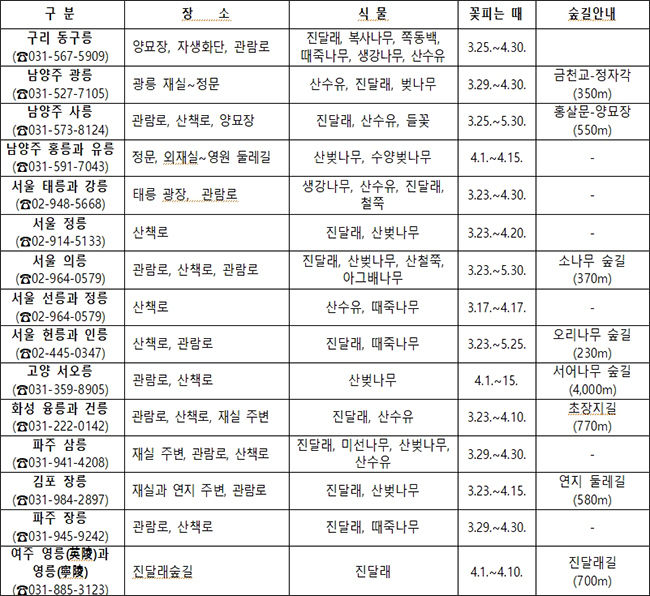 조선왕릉 꽃 피는 때