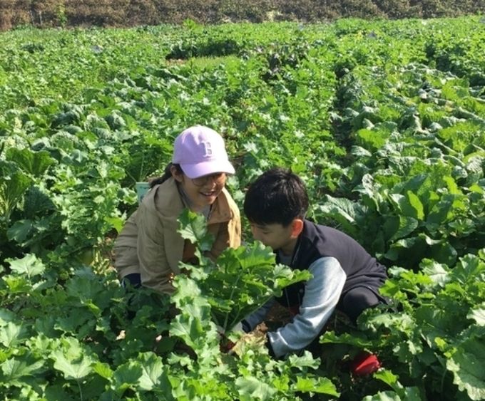 기사와 무관한 자료사진임