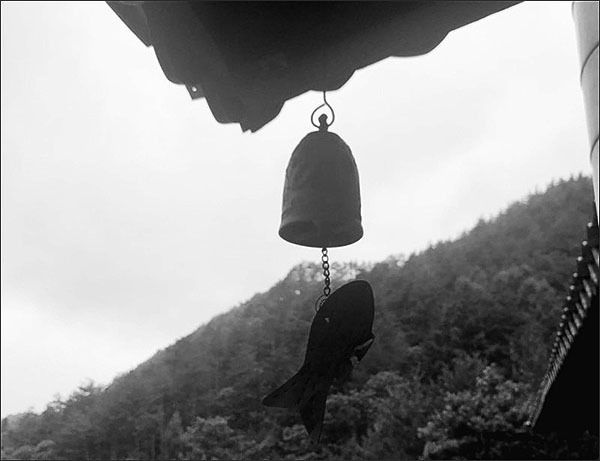 풍경마저 잠든 날, 허물을 벗었다.(사진 김민서 작가)