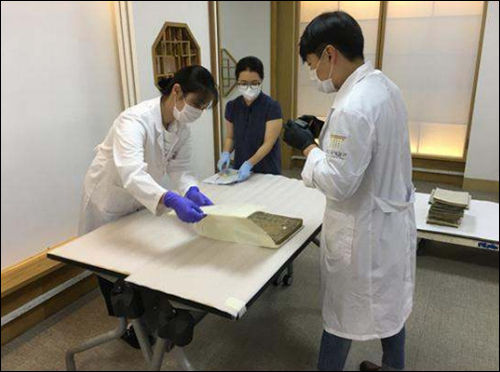 신청 대상유물 접수