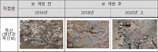 영산강 죽산보 개방 전ㆍ후 퇴적물
