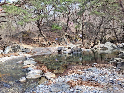 자연 속 작은 혼인식이 진행되는 운문산생태경관보전지역 경관