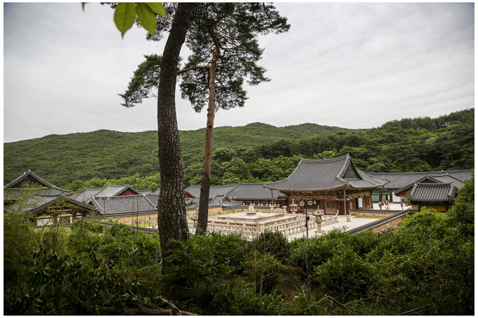 손성재, 통도사 전경