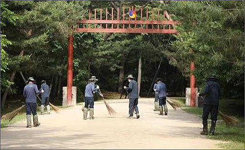 동구릉 일상관리 현장