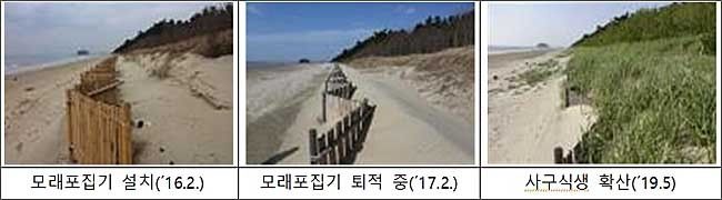 마검포 해안사구