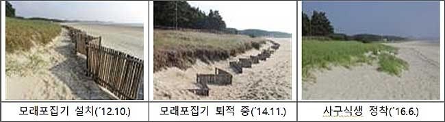 삼봉 해안사구