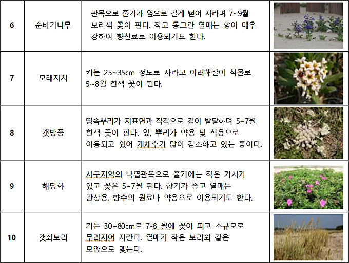 복원지역 내 식물 현황
